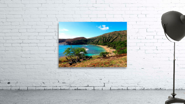 Paradise Found 2 Wall Preview