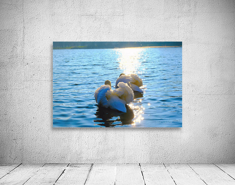 Behind Wings of Love 2B Wall Preview