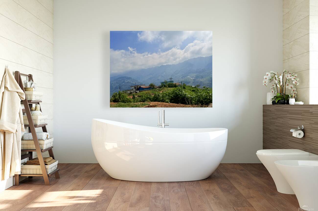 IMG 9268 Reproduction