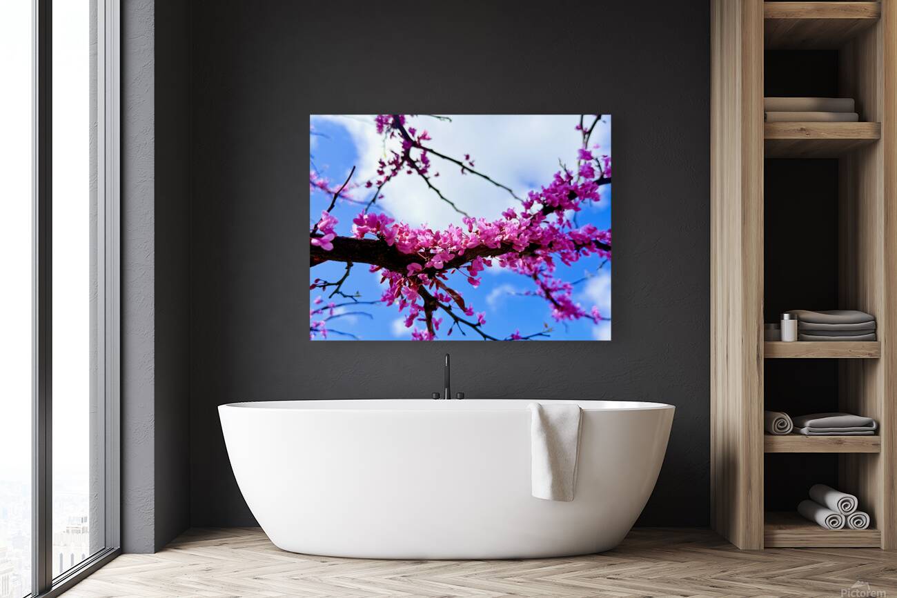 IMG 1704 Reproduction