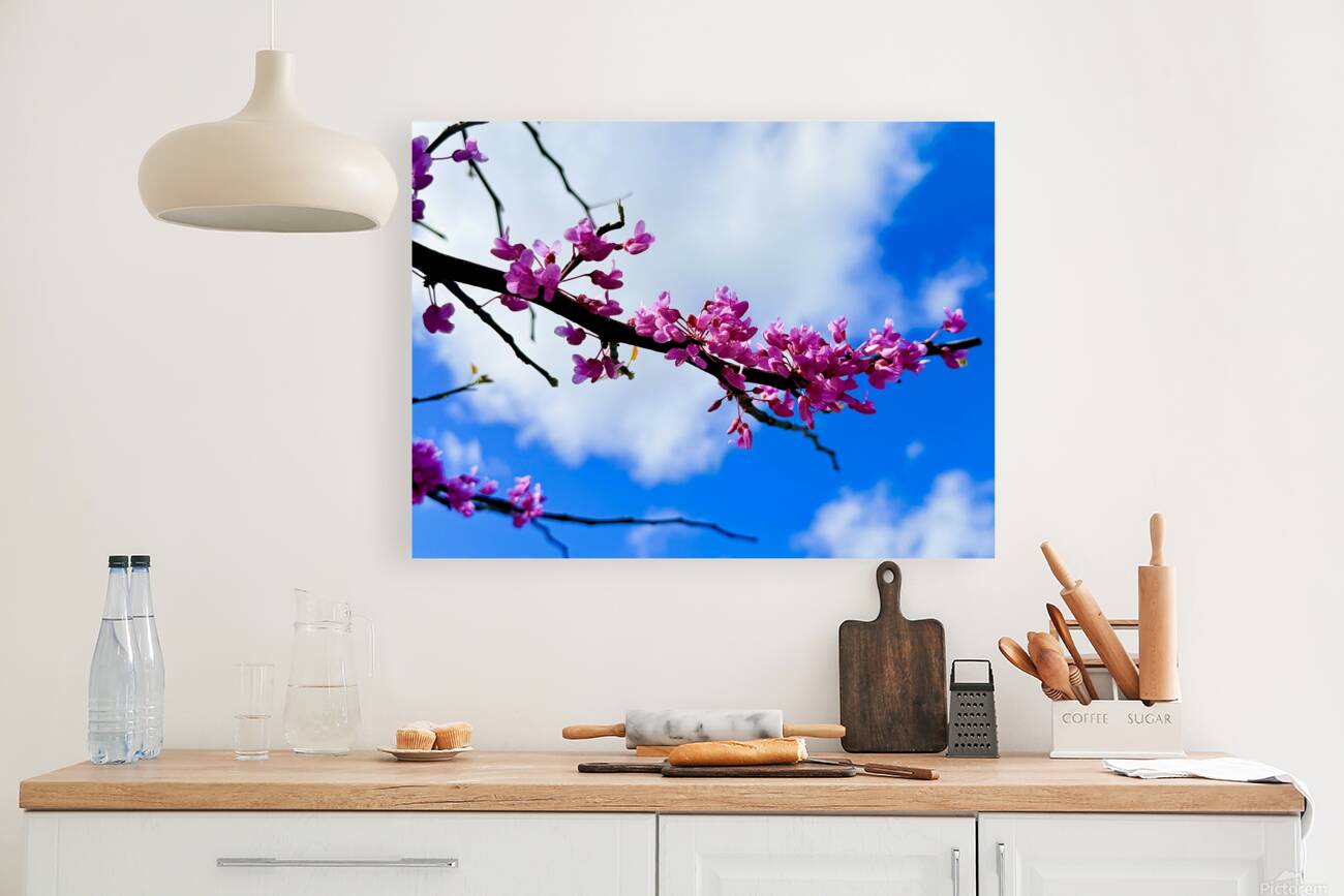 IMG 1702 Reproduction