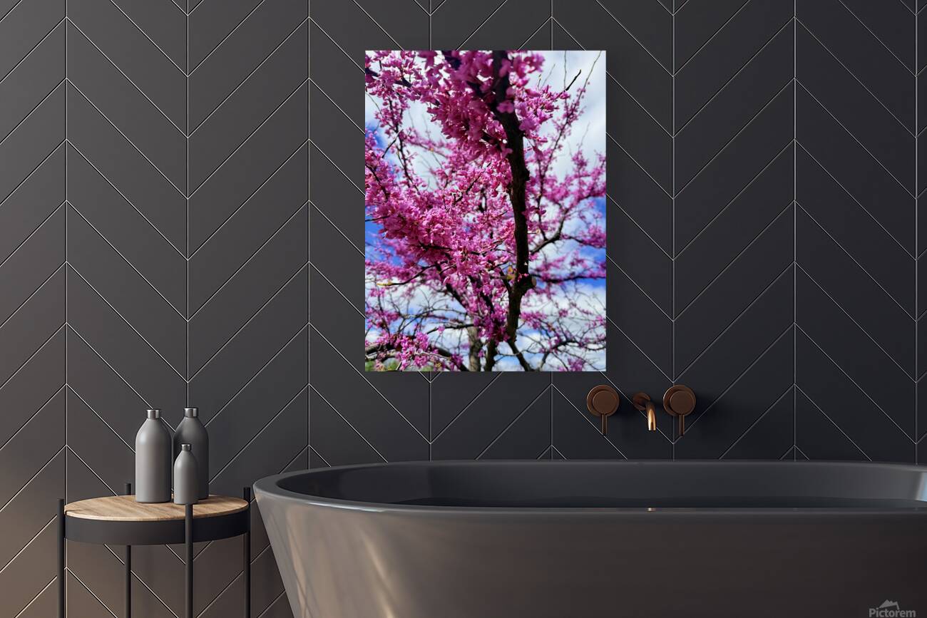 IMG 1517 Reproduction