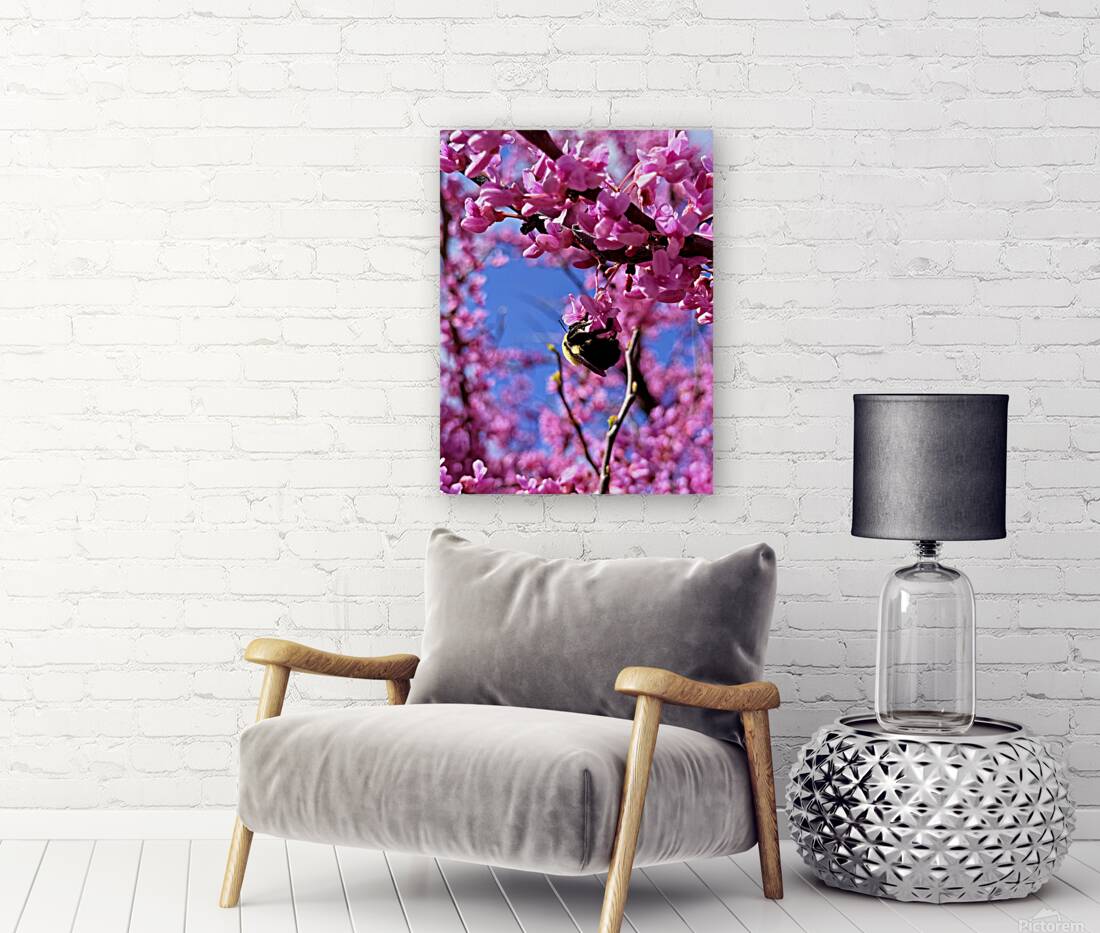 IMG 1648 Reproduction