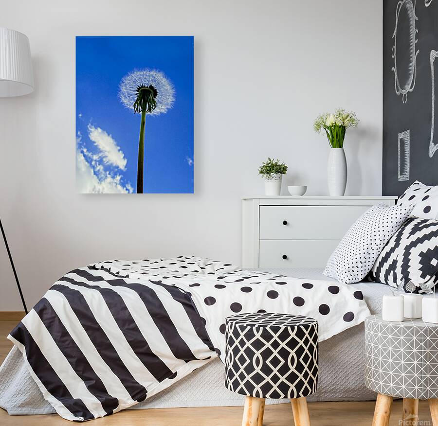 IMG 1764 Reproduction