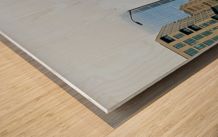 Fogbound Skyline Stroll Wood print