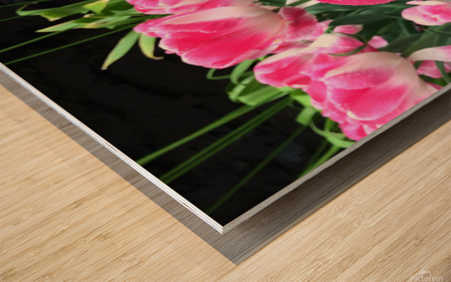 Tulips Are Better Than One C Wood print