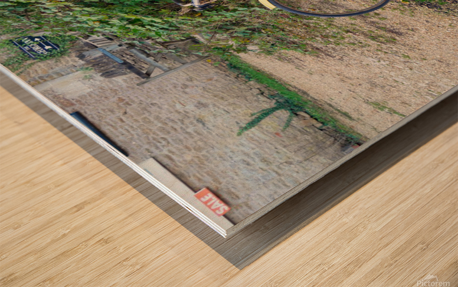 Pedaling Billboard    Wood print