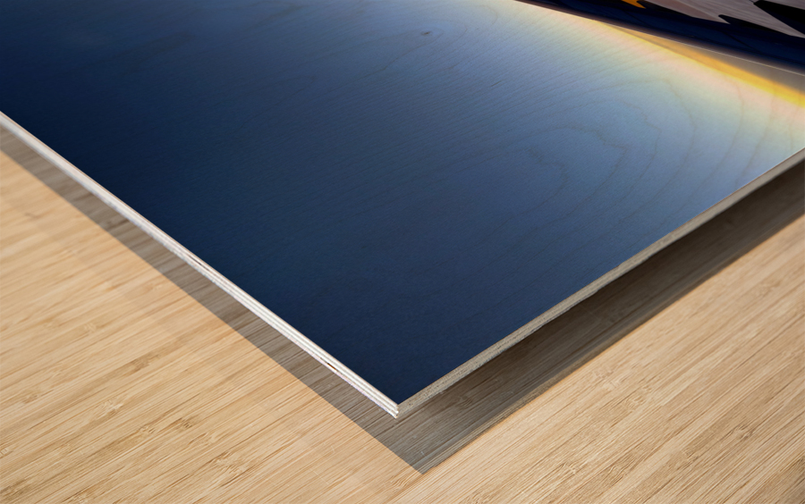 High Howdy Wood print