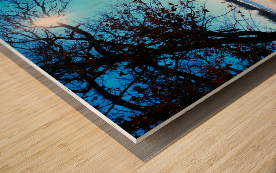 Winterscape 2B Wood print