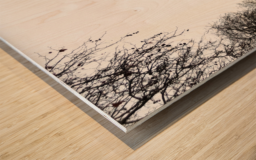 London Bridge  2B Wood print